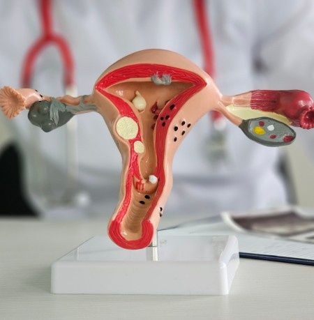 Pediatrician examining child